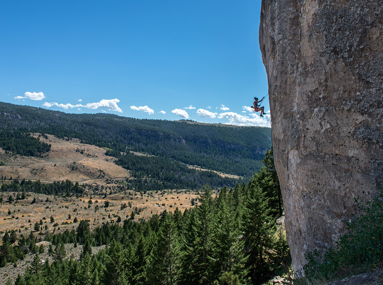 _DSC5547